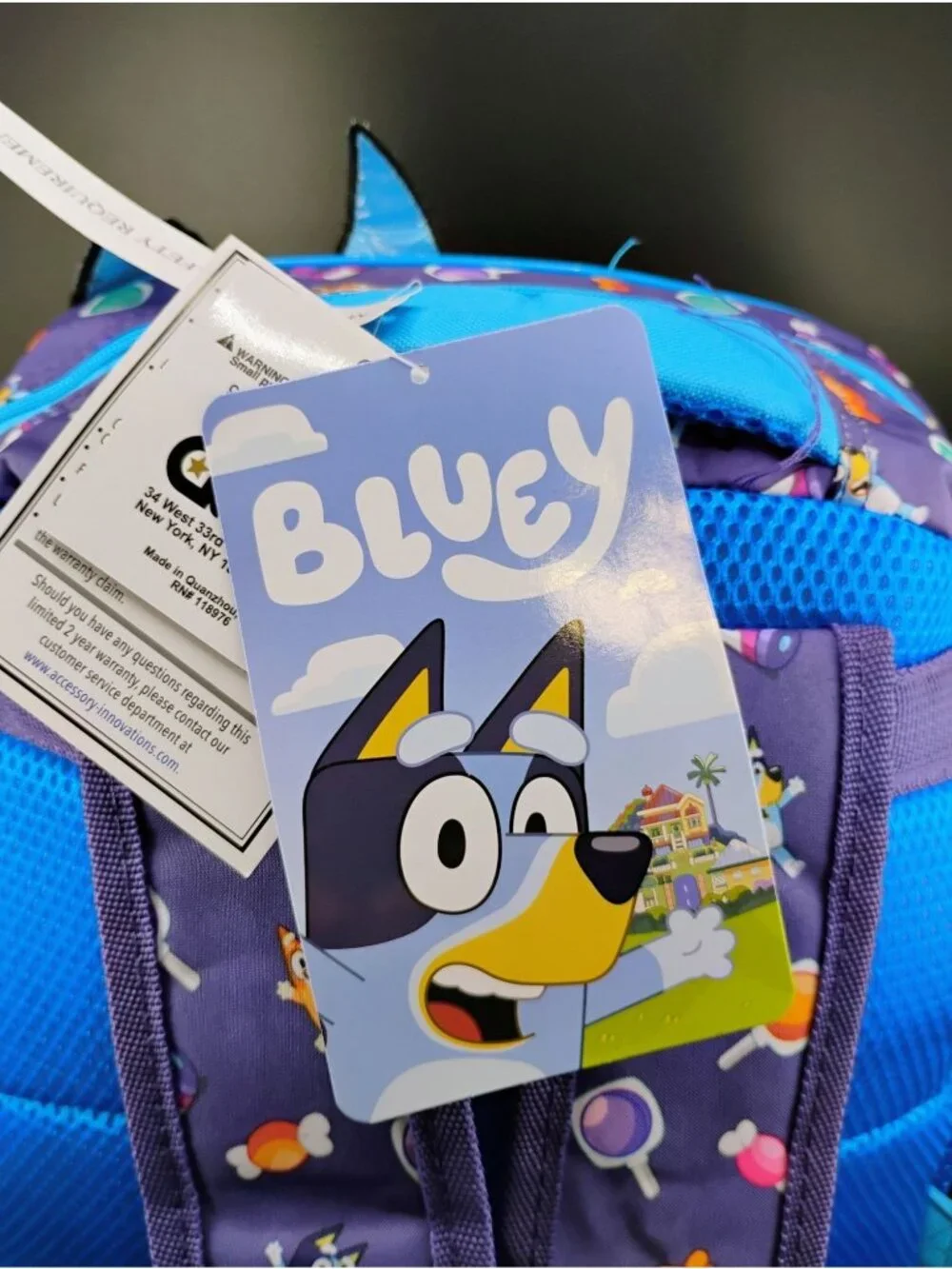 Bluey Kids 14